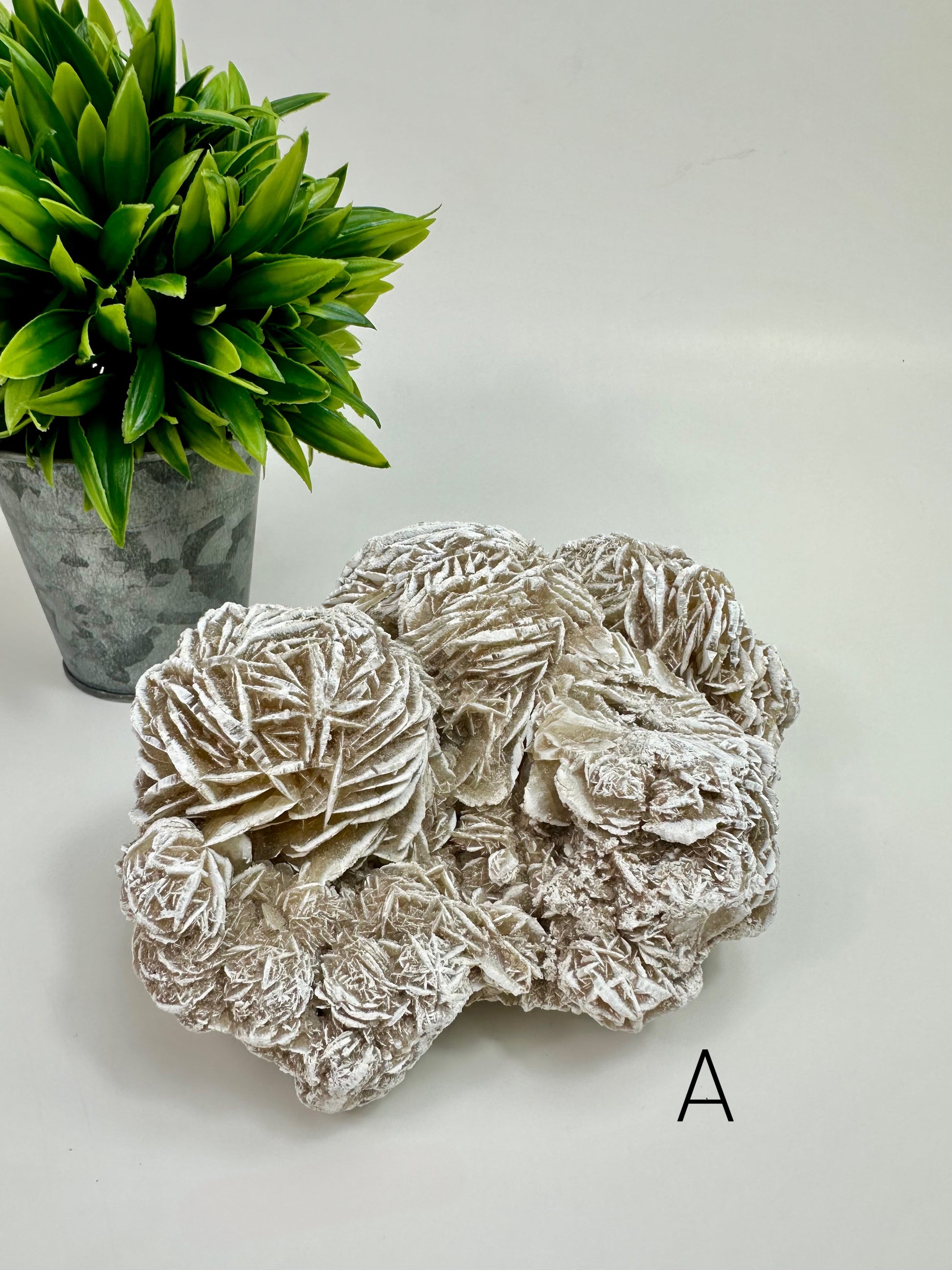 Desert Rose Raw Specimen - A