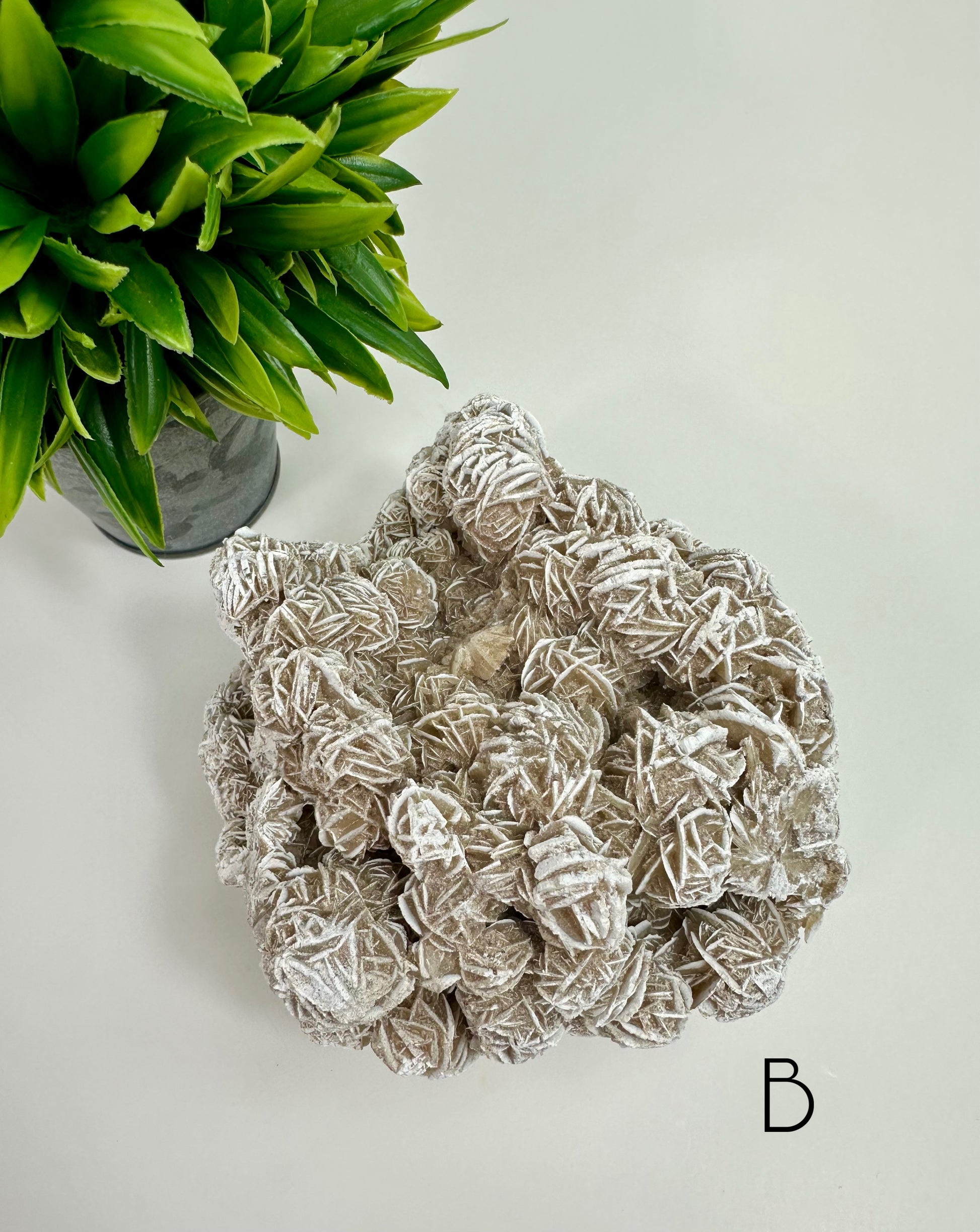 Desert Rose Raw Specimen - B