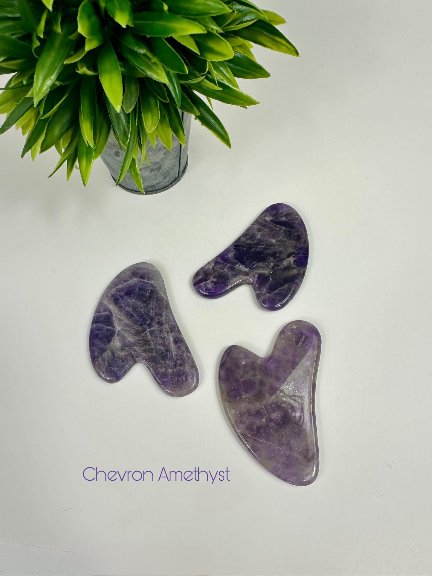 Chevron Amethyst Gua Sha Tools - Sheep's Horn