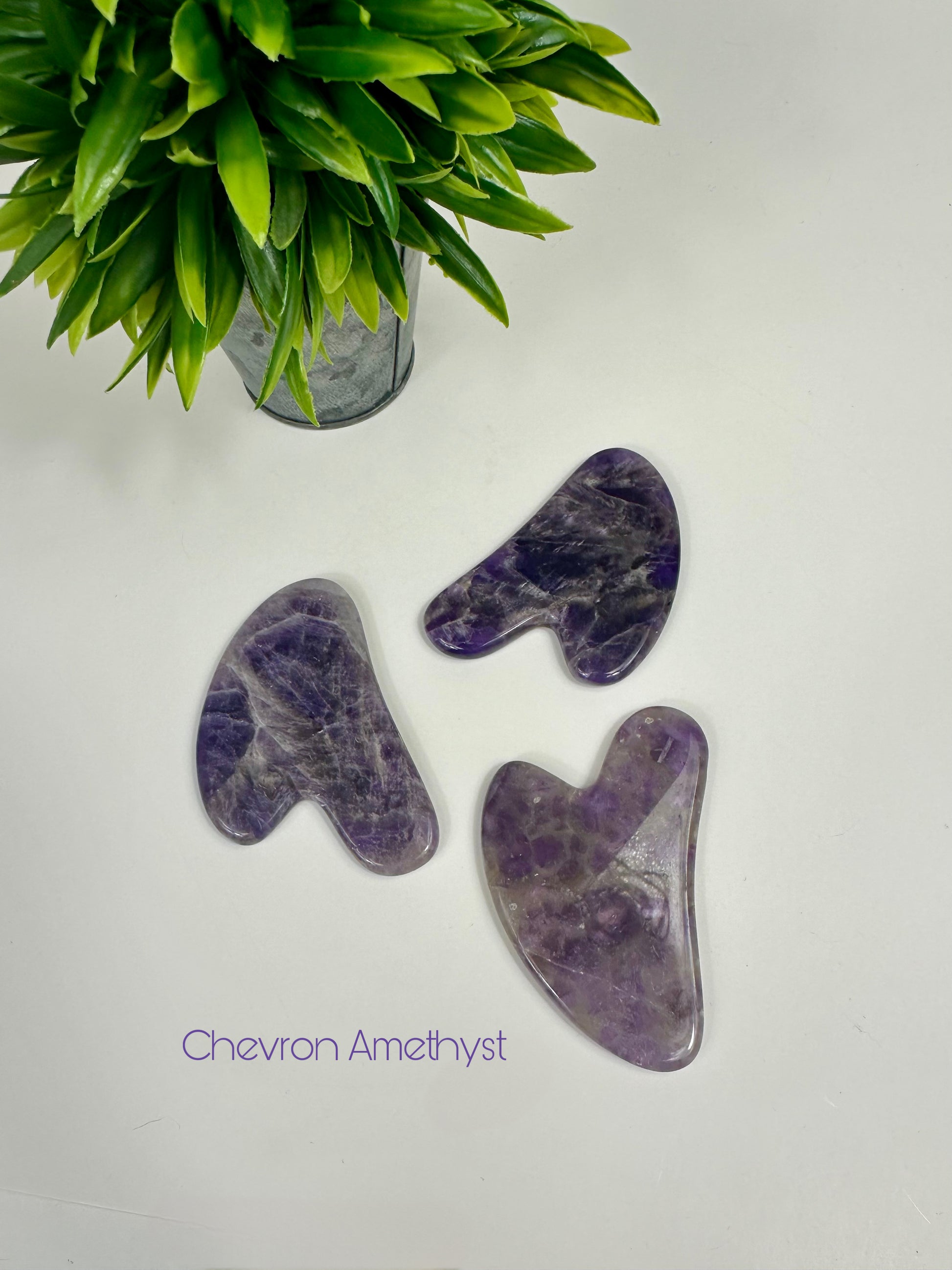 Chevron Amethyst Gua Sha Tools - Sheep's Horn