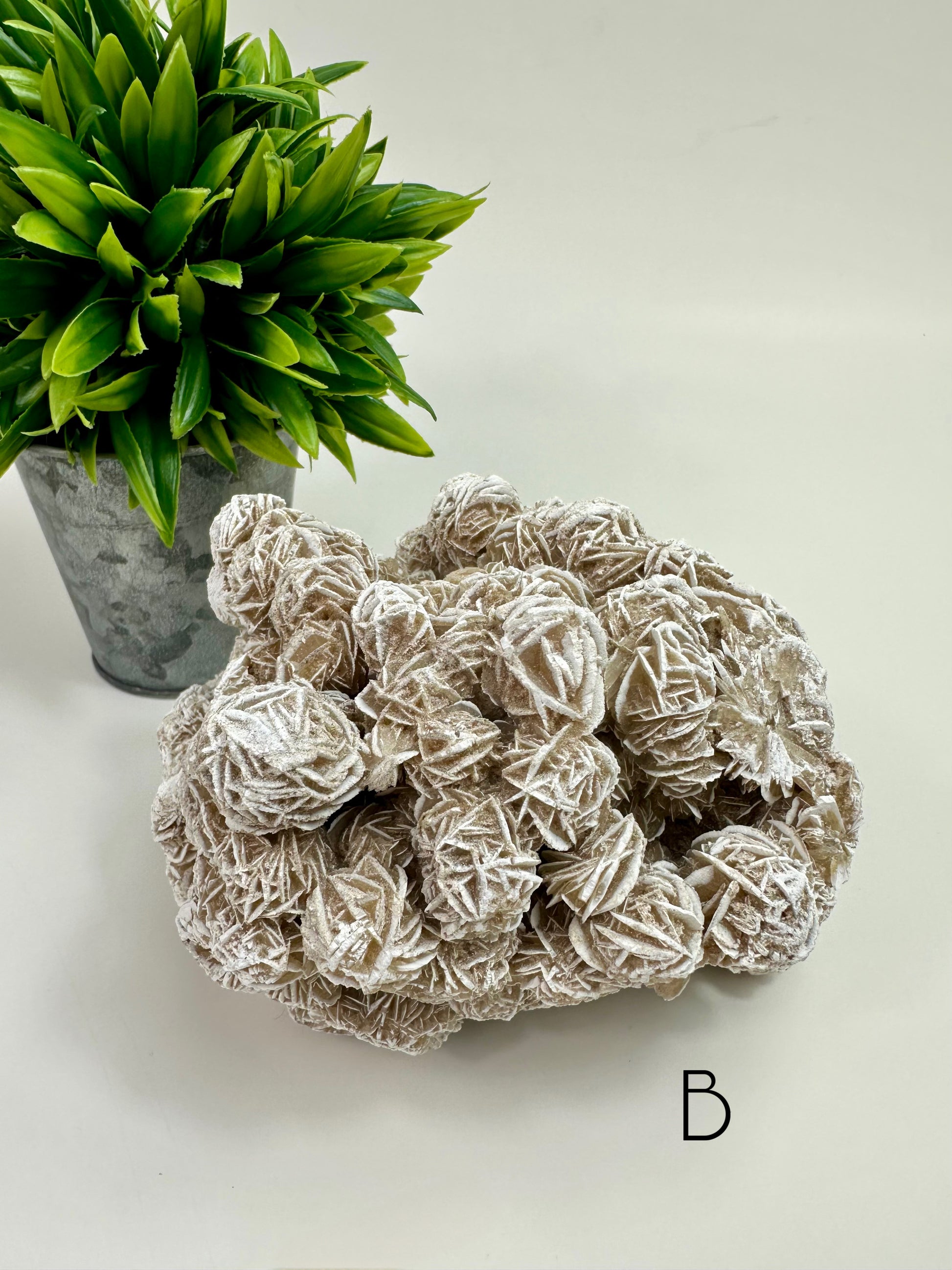 Desert Rose Raw Specimen - B