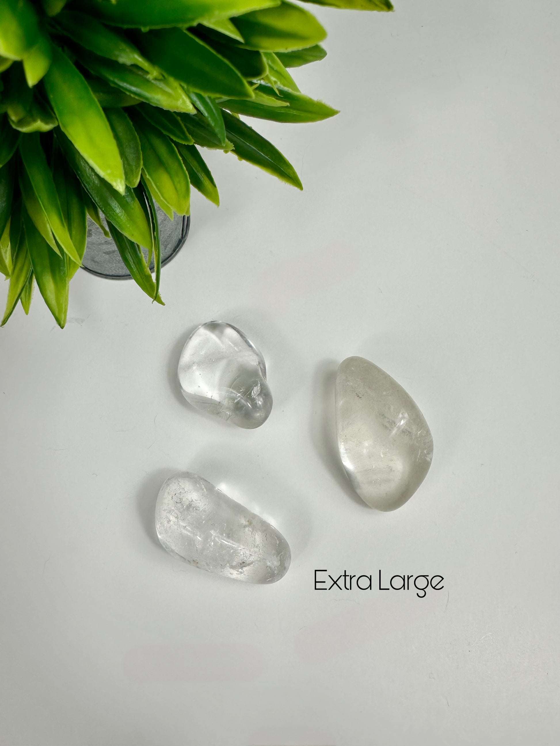 Extra Large Clear Quartz Tumbles