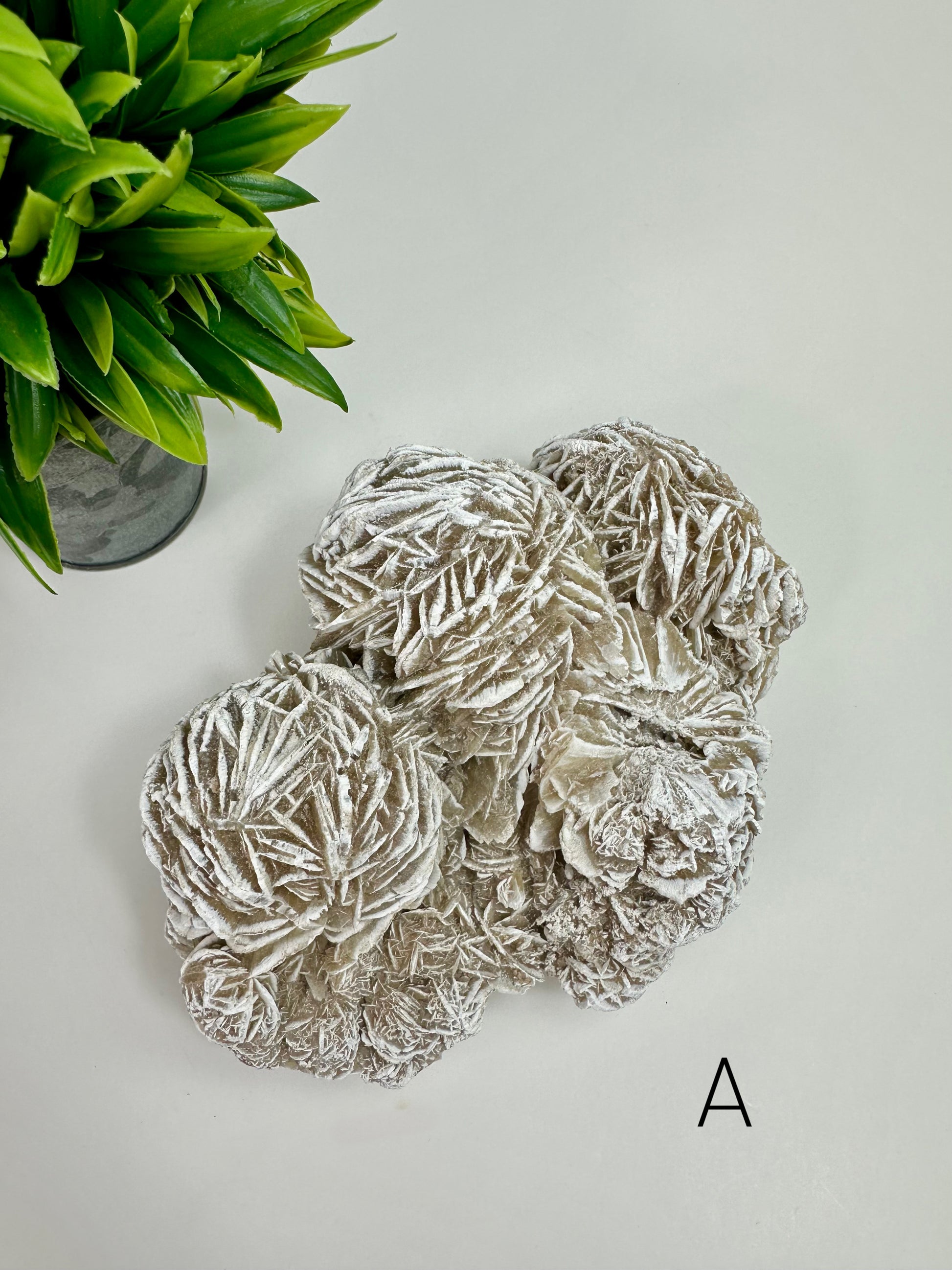 Desert Rose Raw Specimen - A