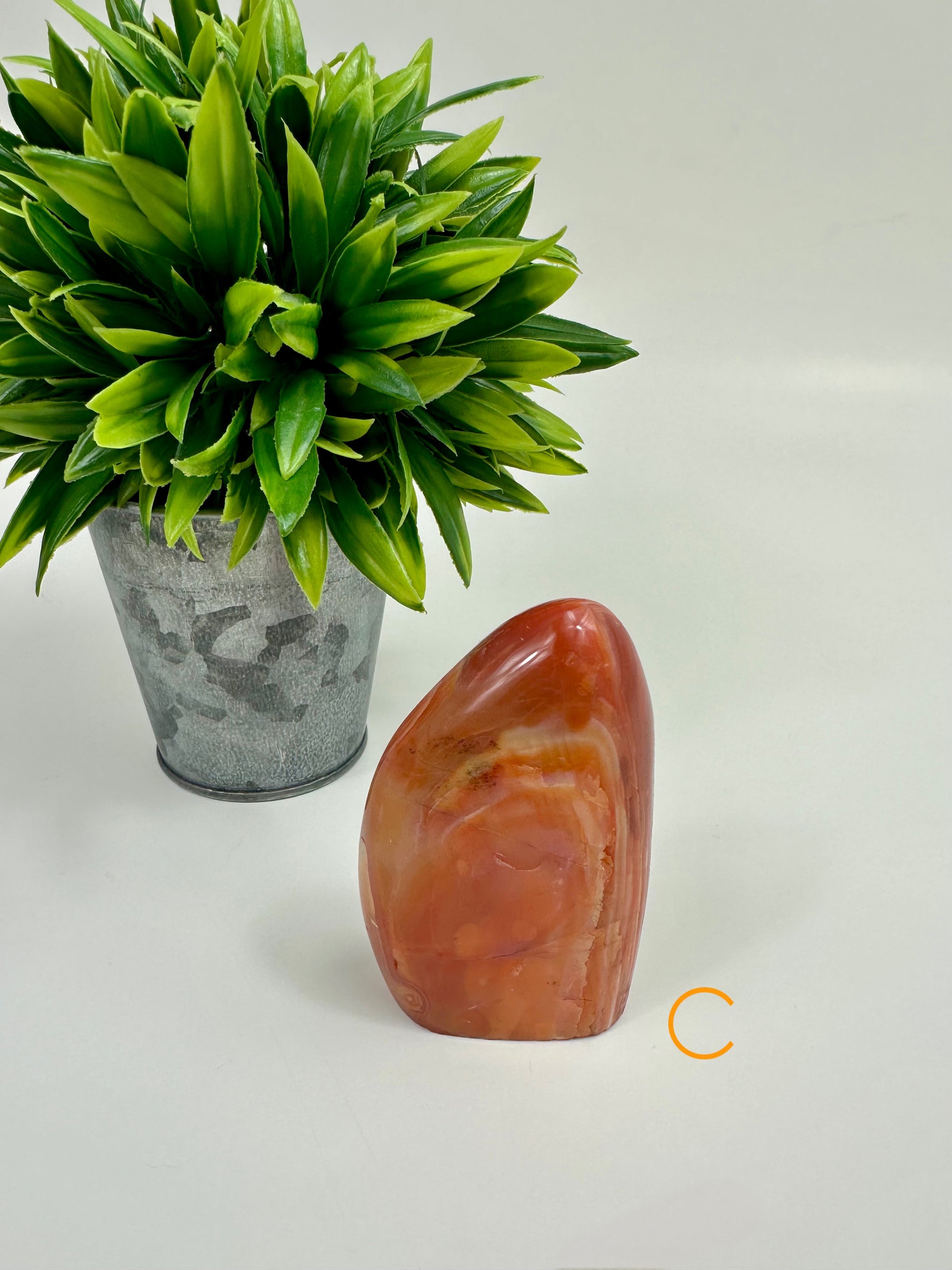 Carnelian Polished Freeform - C