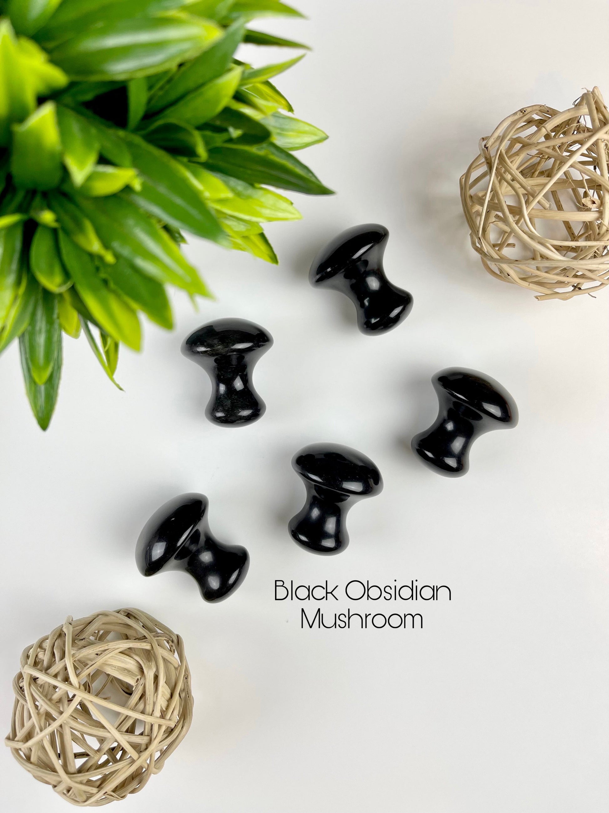 Black Obsidian Gua Sha Tools - Mushroom