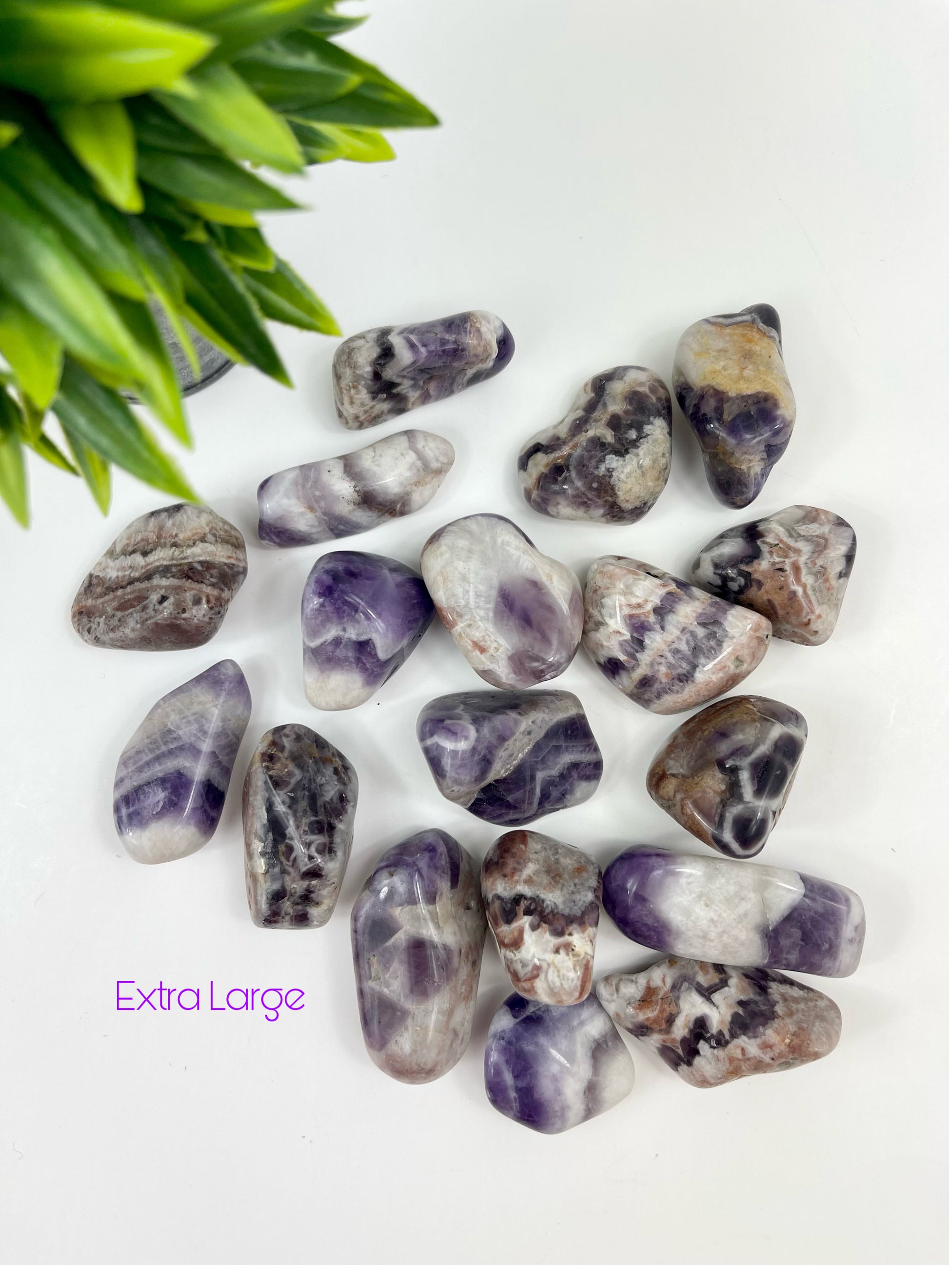 Extra Large Chevron Amethyst Tumbles