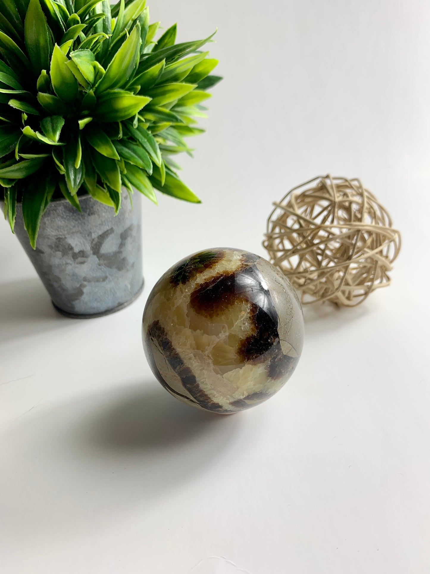 Septarian Spheres